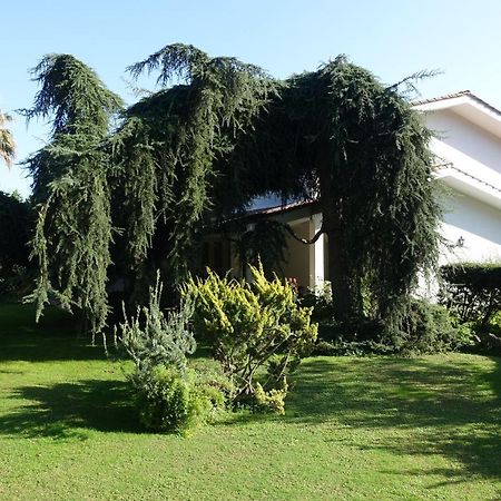 Villa Paradiso Le Rughe Zewnętrze zdjęcie